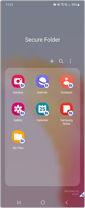 Secure Folder successfully set up